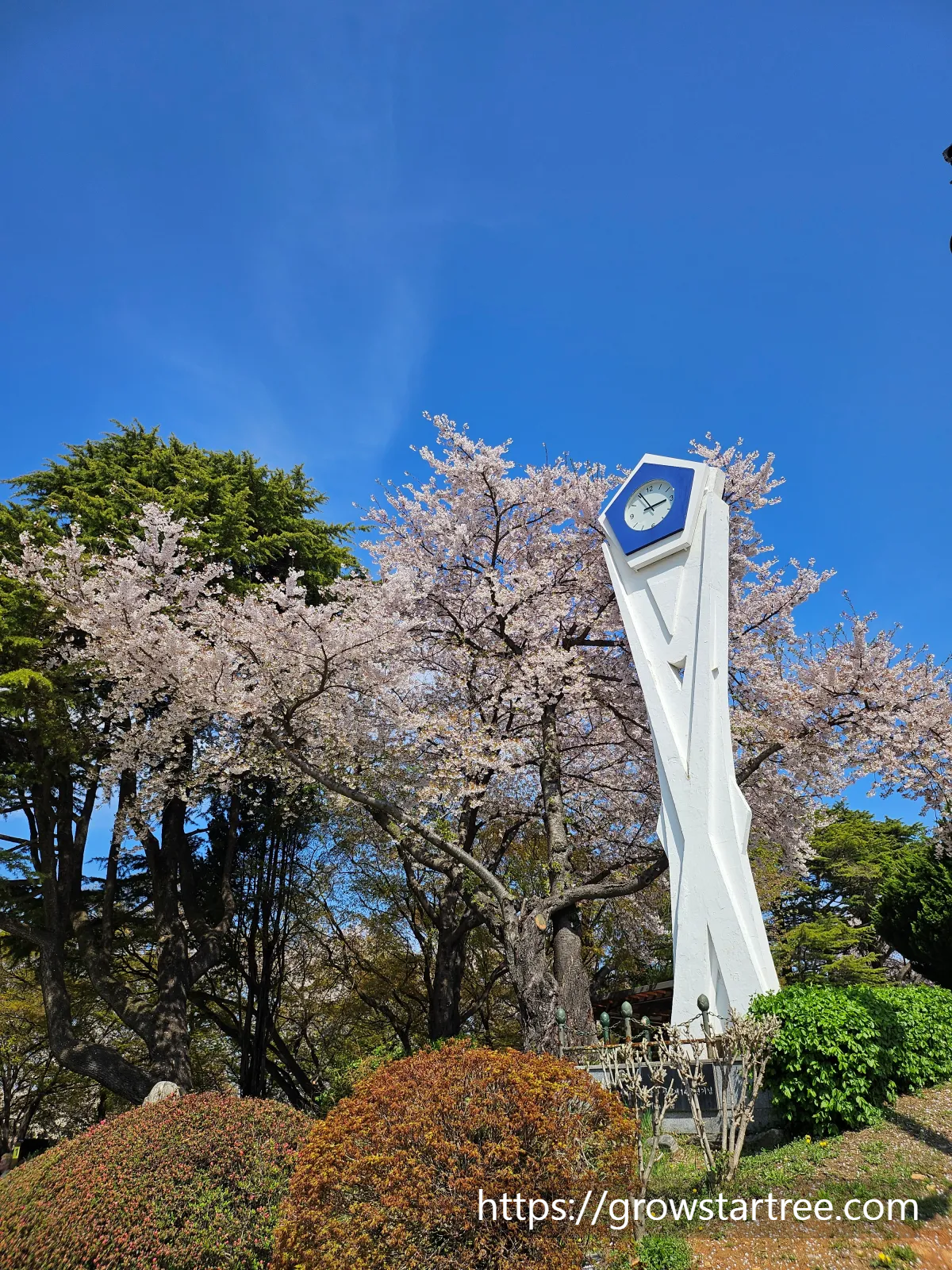 동인천 자유공원