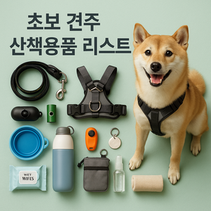초보 견주를 위한 산책 필수템 리스트
