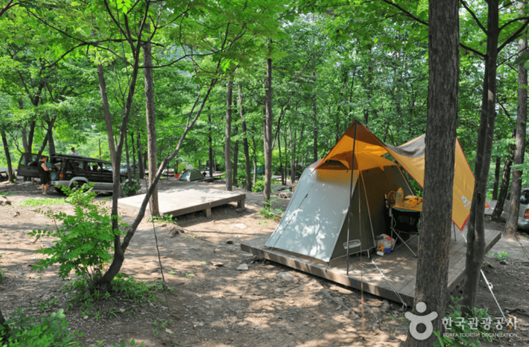 국립 유명산 자연휴양림