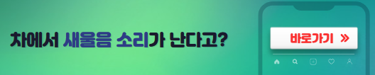 차에서새울음소리