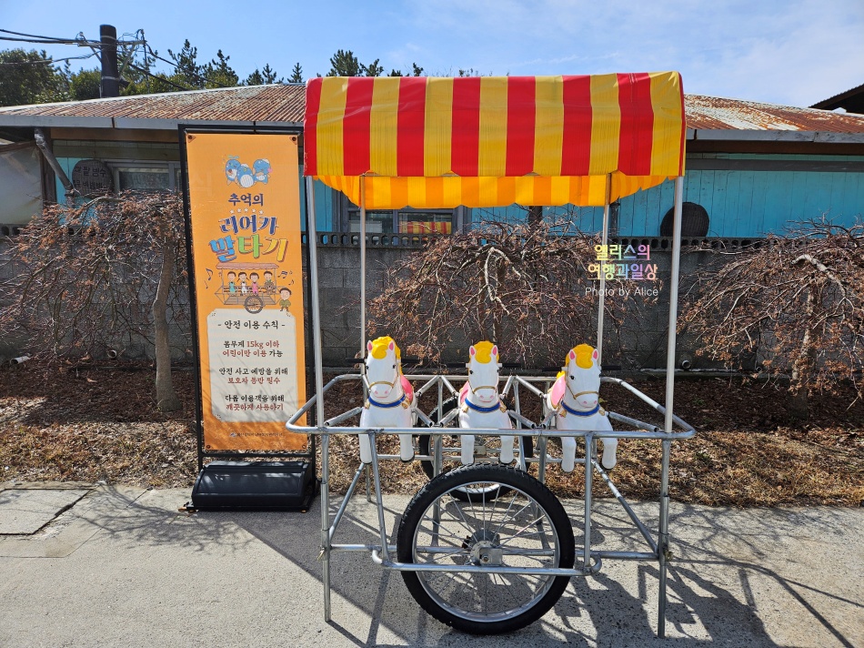 울산여행 가볼만한곳, 장생포고래문화마을 볼거리 체험 마을