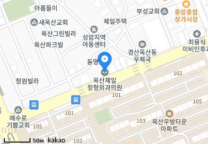 경상북도 경산시 옥산동 일요일 진료 휴일 문 여는 병원