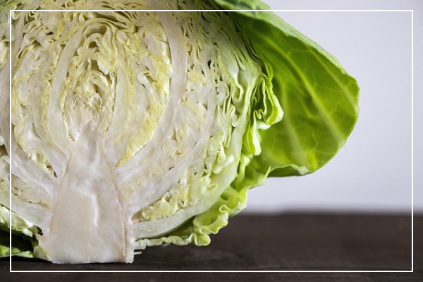 양배추의 효능