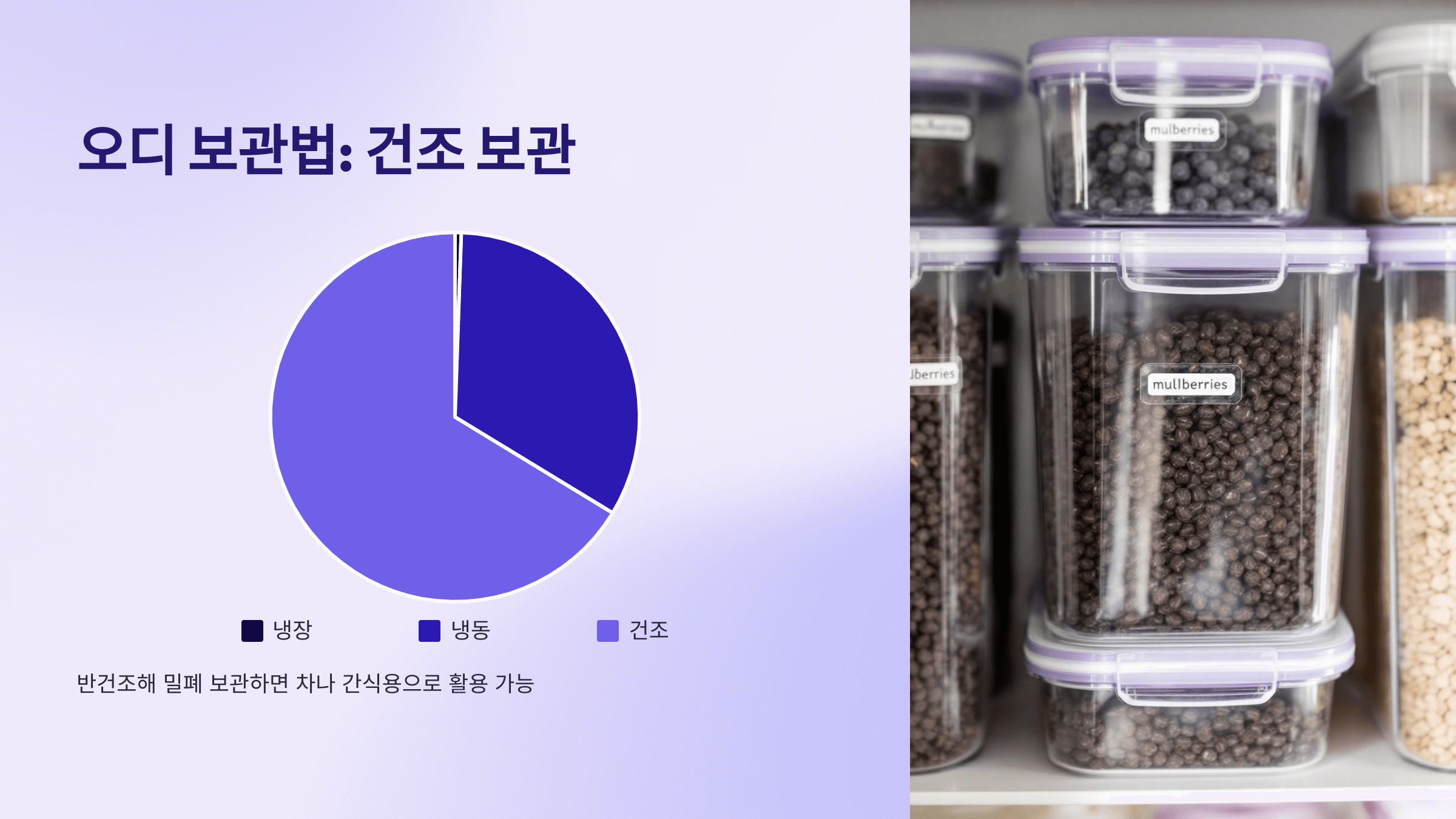 오디 사진입니다.