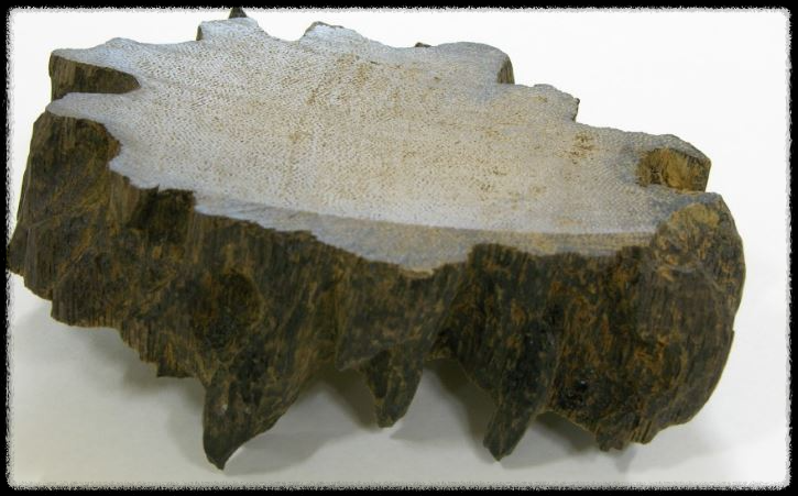 침향 : 침향의 기원, 효능, 부작용과 주의사항