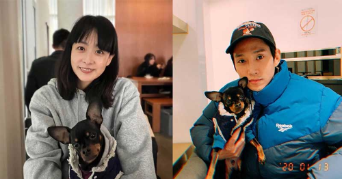 류현경 박성훈 사진