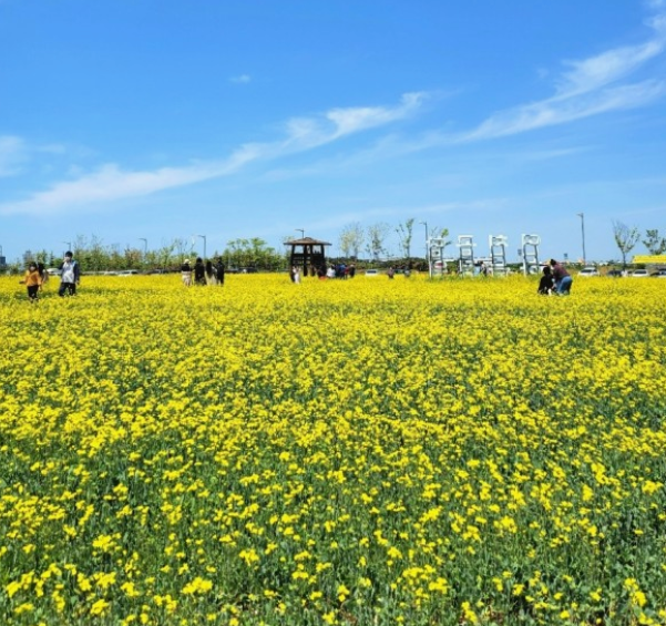 세계봄꽃여행지