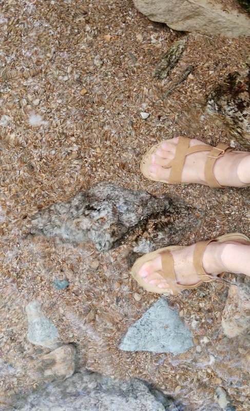 발닮그는 미루의 발