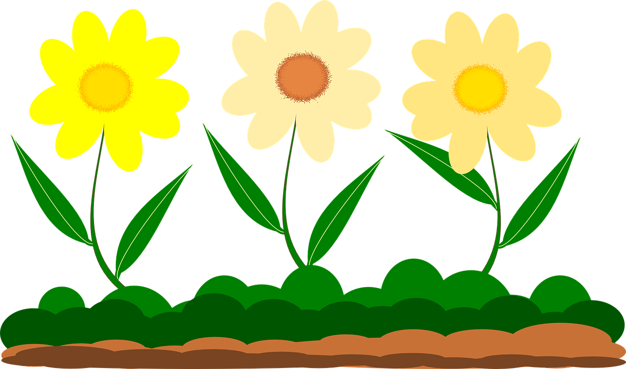 국세청 원클릭 무료 환급서비스 시작