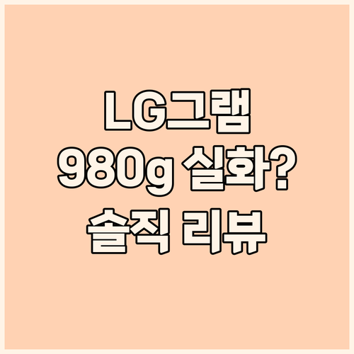 LG 그램 14Z960 놀라운 무게 ..