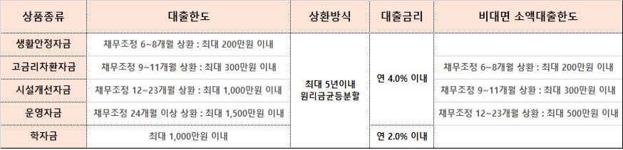 대출한도 및 조건