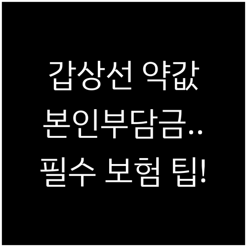 건강보험 적용 후 갑상선기능저하증 약..