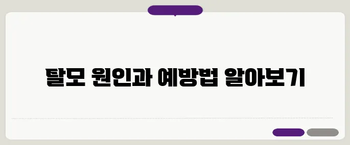 여성 탈모의 원인은 무엇일까 중년 이후 탈모를 예방하는 다섯 가지 방법