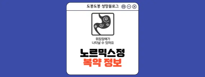 노르믹스정 복약정보 이미지