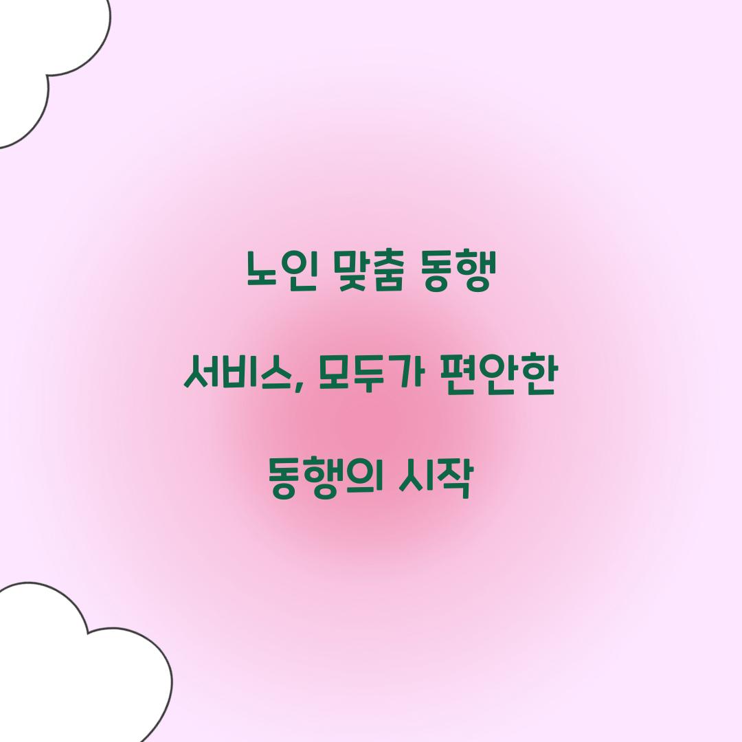노인 맞춤 동행