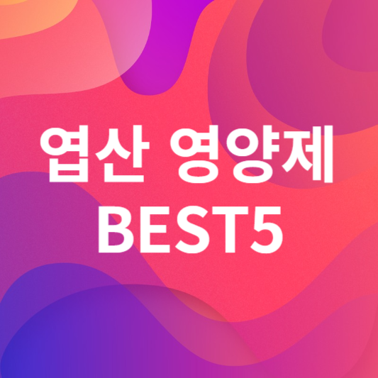엽산 영양제 BEST5