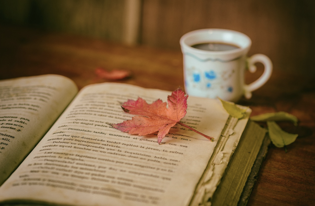 책에서 배운 내용을 평생 기억하는 '개념 연결 독서법'