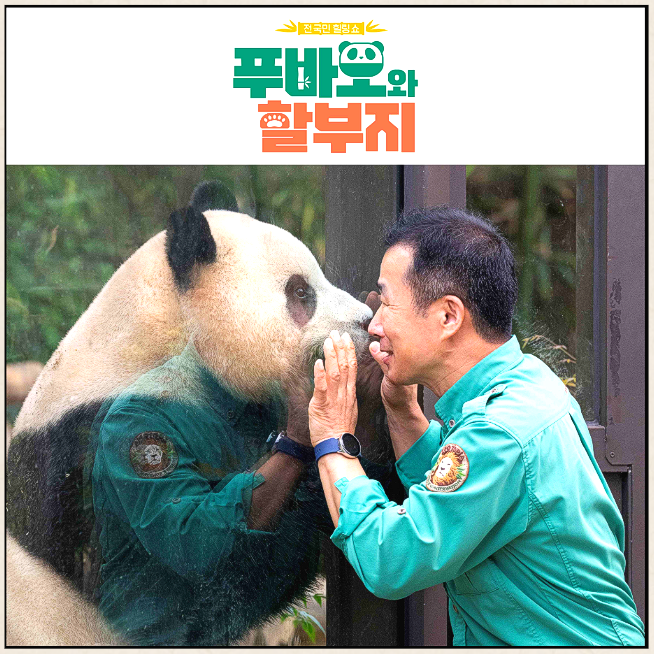 푸바오와 할부지