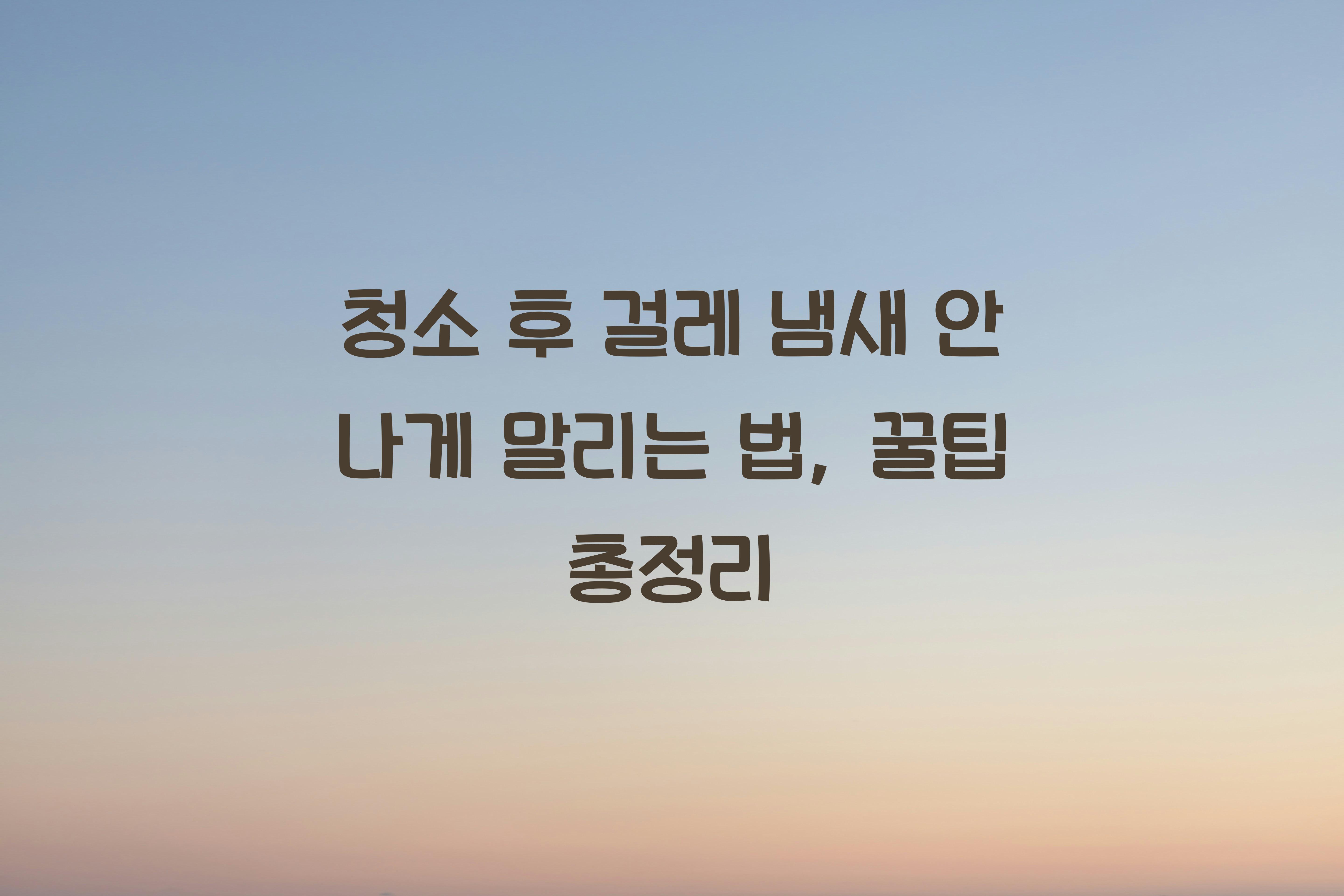 청소 후 걸레 냄새 안 나게 말리는 법