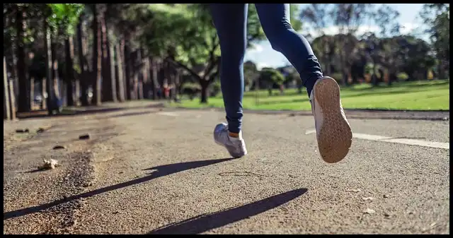 슬로우 조깅 건강법 방법과 효과 (kbs 생로병사의 비밀에서 나온 운동법)