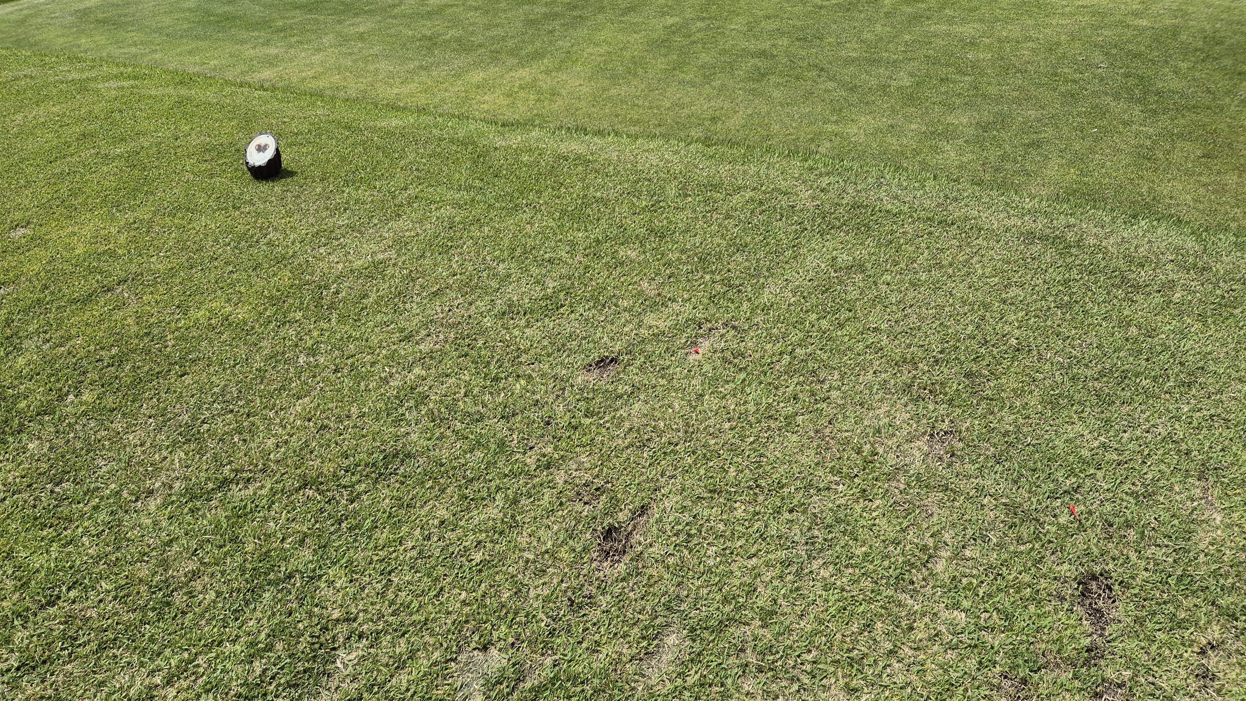 파크밸리gc 라운드 후기