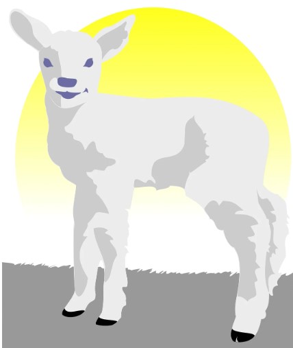 2026 양띠 신년운세 총정리 , 무료운세 사이트