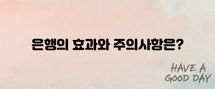 은행 효능과 부작용, 하루 몇 알이 적당할까? 전문가가 알려드립니다