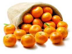 겨울 과일 종류