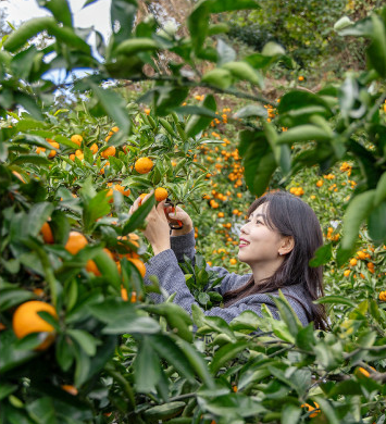 제주투어패스 구매&amp;#44; 예약&amp;#44; 사용방법
