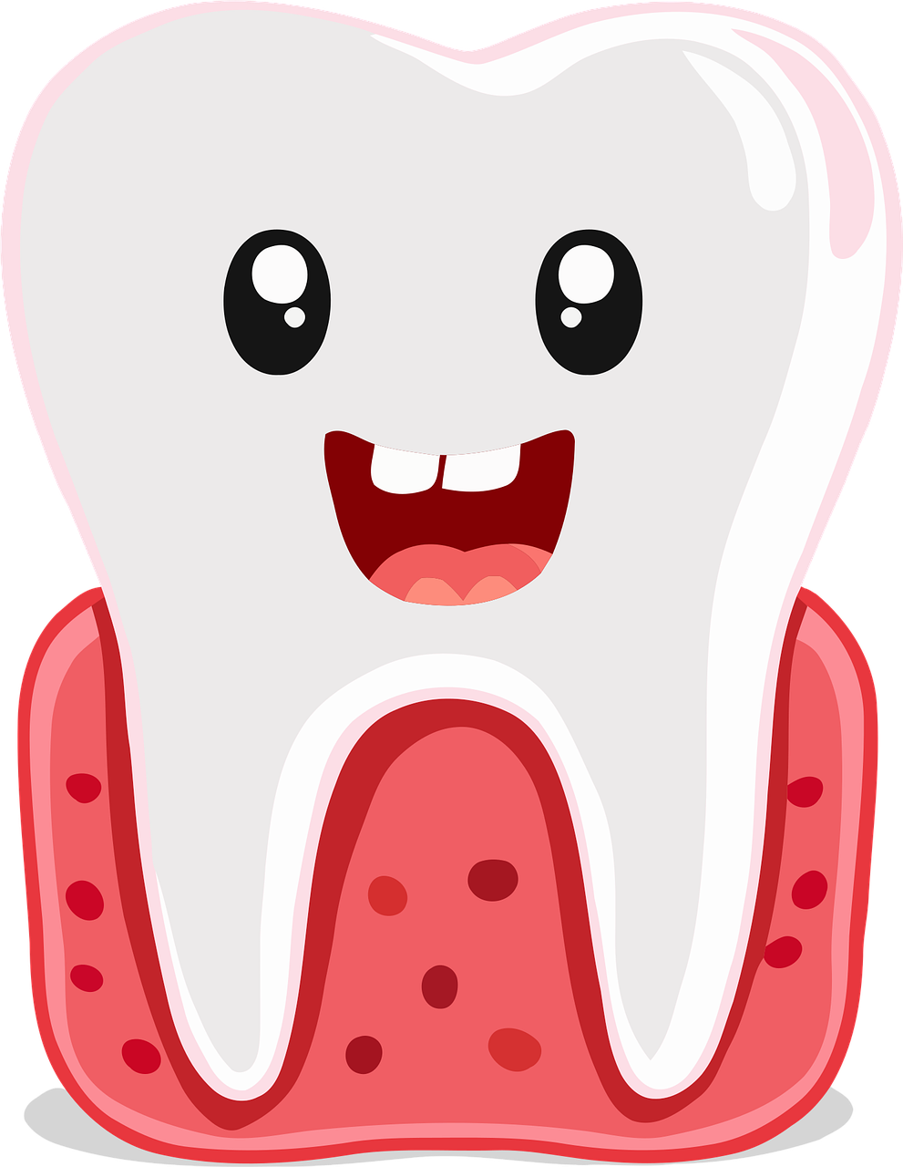 잇몸과 치아 그림