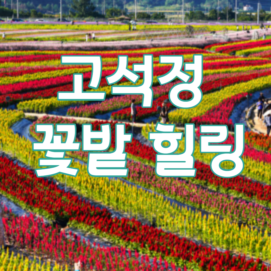 고석정 꽃밭