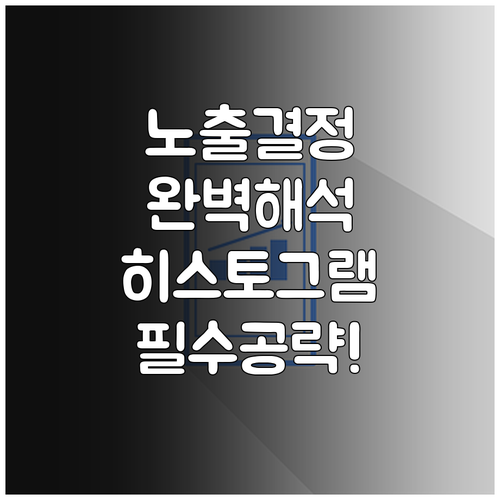 정교한 노출 결정을 돕는 히스토그램 ..