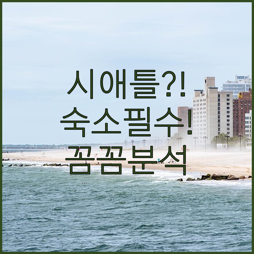 시애틀 노스게이트 벨뷰 지역 호텔 꼼..