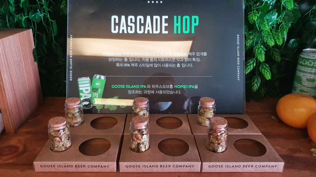 구스아일랜드-24