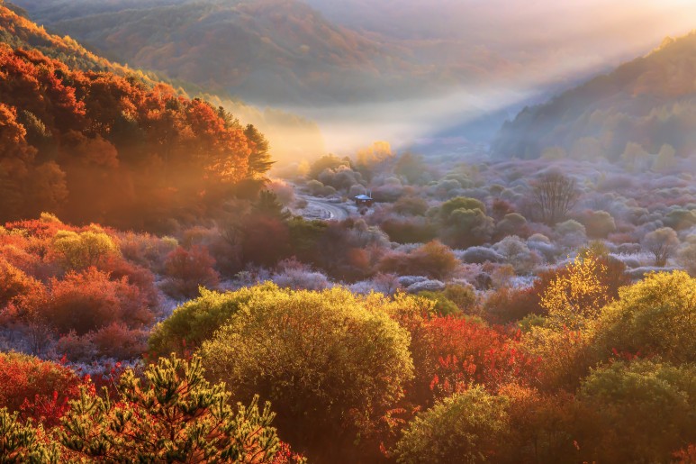 [국내가을여행지추천] 단풍명소 - 강원도 가을 여행지 추천 인제 비밀의 정원