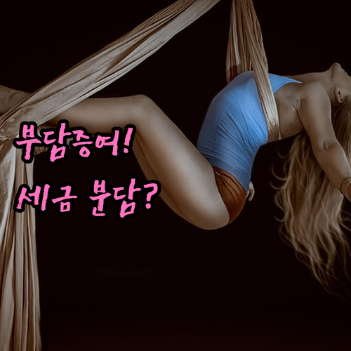 부담부증여 시 증여자와 수증자의 세금..