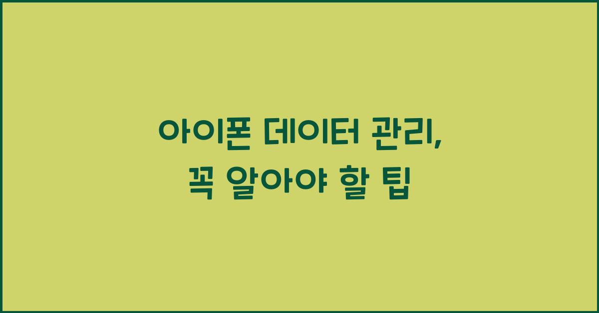 아이폰 데이터