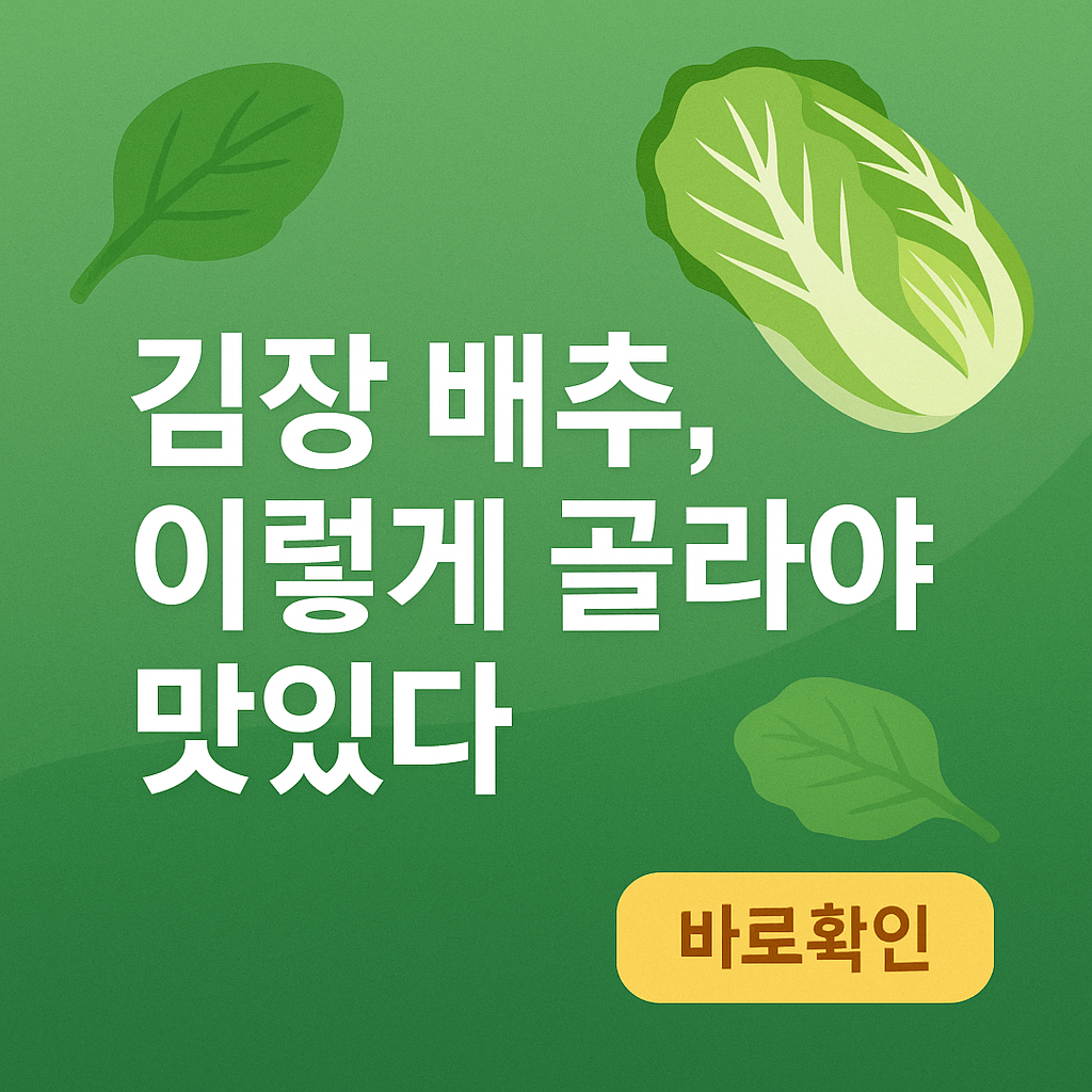배추 이렇게 골라야 맛있다