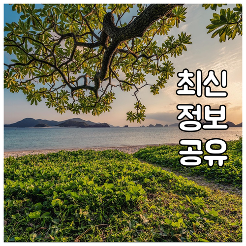 과태료 없는 중구 대형폐기물, 인터넷..