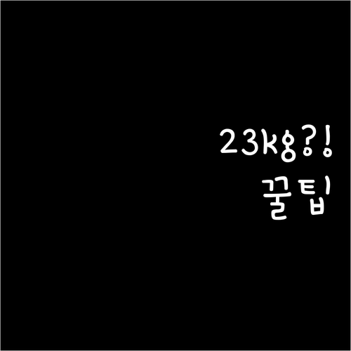 우즈베키스탄항공 위탁수하물 규정 이코..