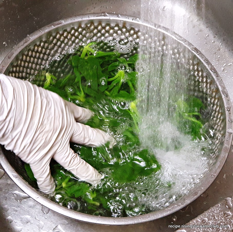 시금치나물 무침을 하기 위해서 데쳐진 시금치를 찬물에 씻어주는 사진