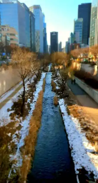 청계천 윈터페스타 인생샷 명소 BEST 5