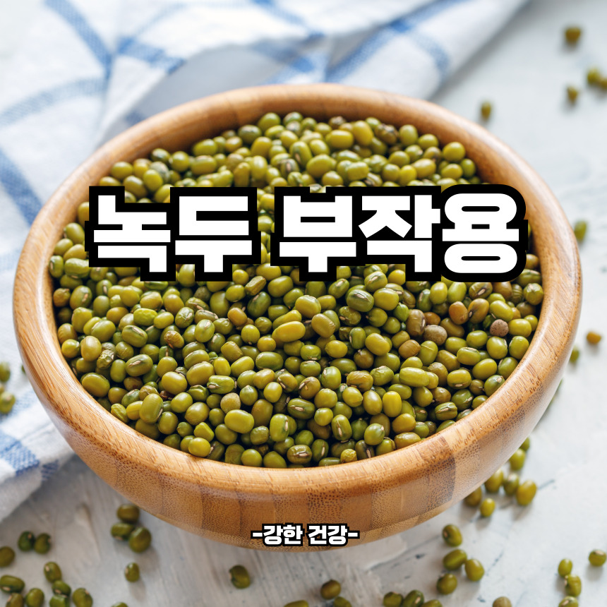 녹두 부작용