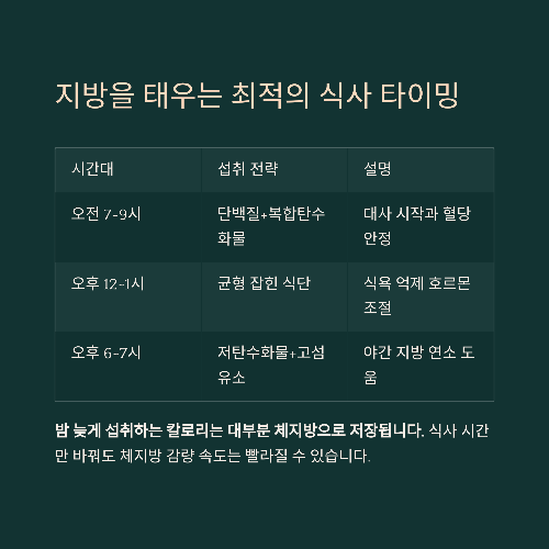 체지방 줄이는 가장 현실적인 방법: 실패 없는 습관 루틴 공개