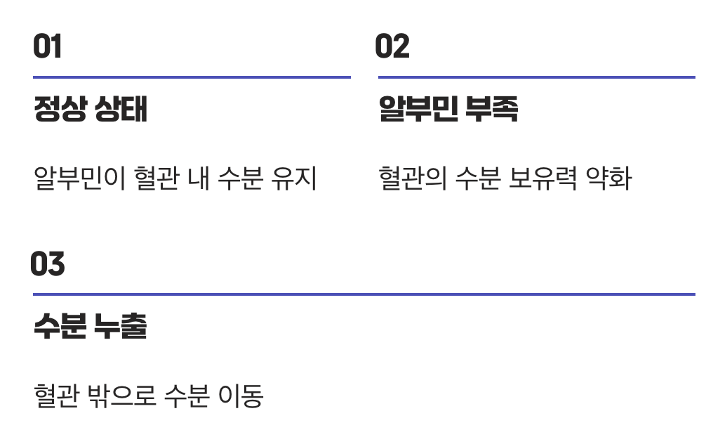 혈관 속의 물을 지키는 힘, 알부민