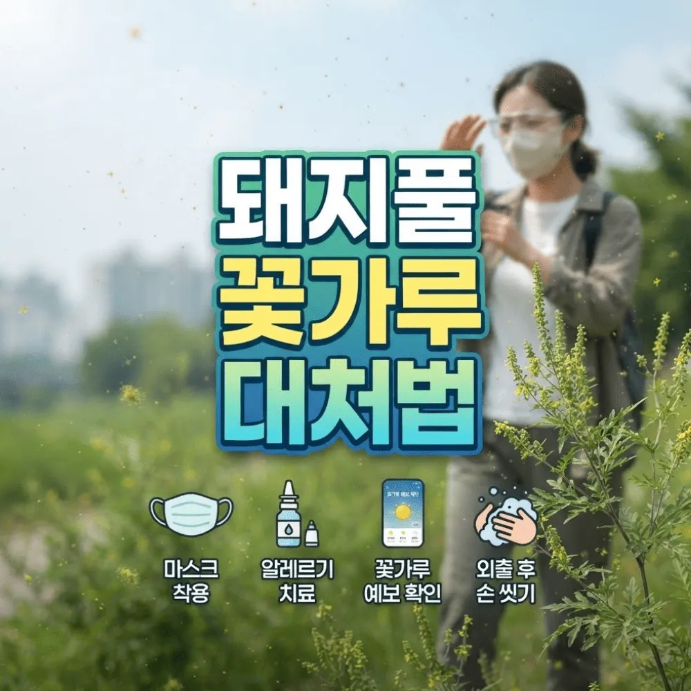 돼지풀 꽃가루 대처법