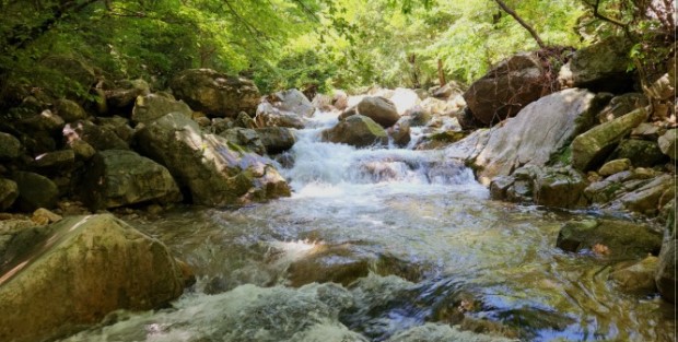 세계 물의 날(8)
