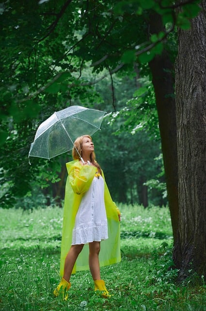 장마철 필수템 총정리 이미지 03