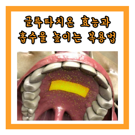 글루타치온 효능