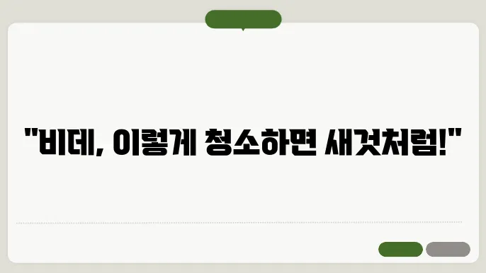 비데 청소법